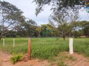 Chácara 02 ha com árvores nativas Campo Grande, MS, Brasil