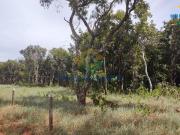 Chácara 5.000 m² com mata nativa Campo Grande, MS, Brasil