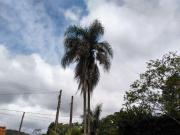 Chácara à venda, 1000 m² por R$ 393.000,00 Capim Branco...