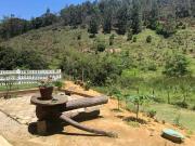 Chácara à venda 1 Quarto, 216000M², Pinga,...