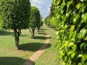 Chácara à venda, 242000 m² por R$ 2.000.000,00 Jardim...