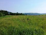 Chácara à venda, 25000 m² por R$ 1.100.000,00 Mombuca...