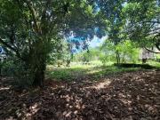 Chácara com 3 dormitórios à venda, 2827 m² por R$...