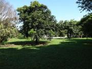 Chácara a venda, 5 quartos, 2 suítes, 15 vagas, no...