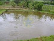 Chácara à venda, 9000 m² por R$ 1.000.000,00 Serra Negra...