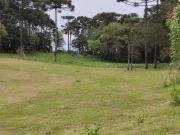 Chácara à venda, Campo Largo da Roseira, São José dos...