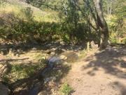 Chácara a venda Corrêas Piedade SP R$ 250.000 aceita permuta