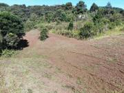 Chácara à venda em Campo Magro Casa 3 Quartos