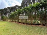 Chácara à venda em Ibiuna 3 dormitórios com suite...