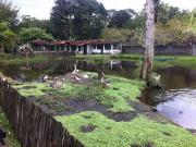 CHÁCARA A VENDA EM ITANHAÉM/SP