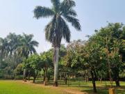 chácara à venda em Loteamento Parque Centenário