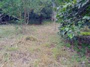 Chácara à venda em Uberlândia MG, Área Rural: 2 quartos,...