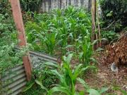 Chácara à venda em Valinhos, Chácaras São Bento, com 4...