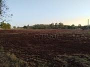 Chácara à venda Jardim Vale Verde, Londrina