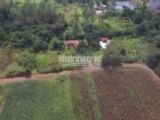 Chácara à venda Não informado, Bairro Limoeiro Londrina PR