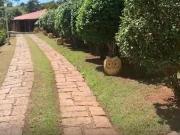 Chácara à venda no bairro caixa D´agua em Vinhedo,...