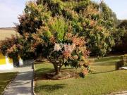 CHÁCARA A VENDA NO BAIRRO MATO DENTRO NA CIDADE DE...
