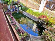 Chácara à venda no Monterrey em Louveira/SP