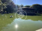 Chácara à Venda no Núcleo Rural Lago Oeste – 20.000 m²