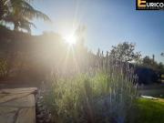 Chácara à venda no Pinheirinho em Vinhedo/SP