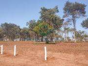 Chacara, Área Rural de Campo Grande, Campo Grande, MS