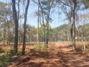 Chacara, Área Rural de Campo Grande, Campo Grande, MS