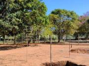 Chácara às margens da DF 140 27.000 m² Escriturada a 800...