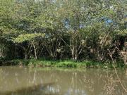 Chacara, Bairro do Morro, Camanducaia, MG