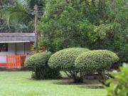 Chacara, Bairro Eva, Juquitiba, SP