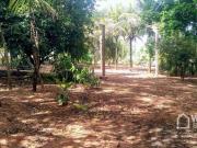 Chácara com 1 dormitório à venda, 24200 m² por R$...