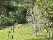 Chácara à venda, 5000 m² por R$ 750.000,00 Recanto dos...