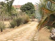 CHÁCARA COM 2300 M² DE ÀREA ÚTIL SENDO 815 M² DE ÁREA...