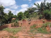 Chácara com 2 dormitórios à venda, 10000 m² por R$...