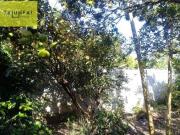 Chácara com 2 dormitórios à venda, 1002 m² por R$...