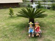 Chácara com 2 dormitórios à venda, 15500 m² por R$...