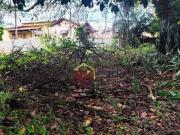 Chácara com 2 dormitórios à venda, 3000 m² por R$...