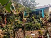 Chácara com 2 dormitórios à venda, 400 m² por R$...