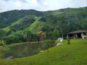 Chácara com 2 dormitórios à venda, 7280 m² por R$...