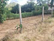 Chácara com 3 alqueires Angatuba