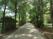 Chácara com 3 dormitórios à venda, 10880 m² por R$...