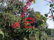 Chácara com 3 dormitórios à venda, 1391 m² por R$...