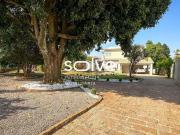 Chácara com 3 dormitórios à venda, 2750 m² por R$...