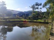 Chácara com 3 dormitórios à venda, 2800 m² por R$...