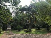 Chácara com 3 quartos, 2552 m² venda por R$ 1.200.000 ou...