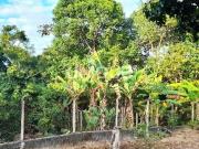 Chácara com 3 quartos à Venda, Maracanã Jarinu