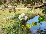 Chácara com 3 quartos, Centro, Lagoinha R$ 950 mil, Cod:...