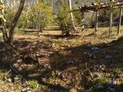 Chácara com 4 dormitórios à venda, 3100 m² por R$...