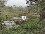 Chácara com 4 dormitórios à venda, 399300 m² por R$...