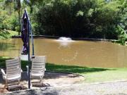 Chácara com 4 dormitórios à venda, 5500 m² por R$...