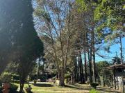 Chácara com 4 Quartos e 5 banheiros À Venda, 4.520 m²...